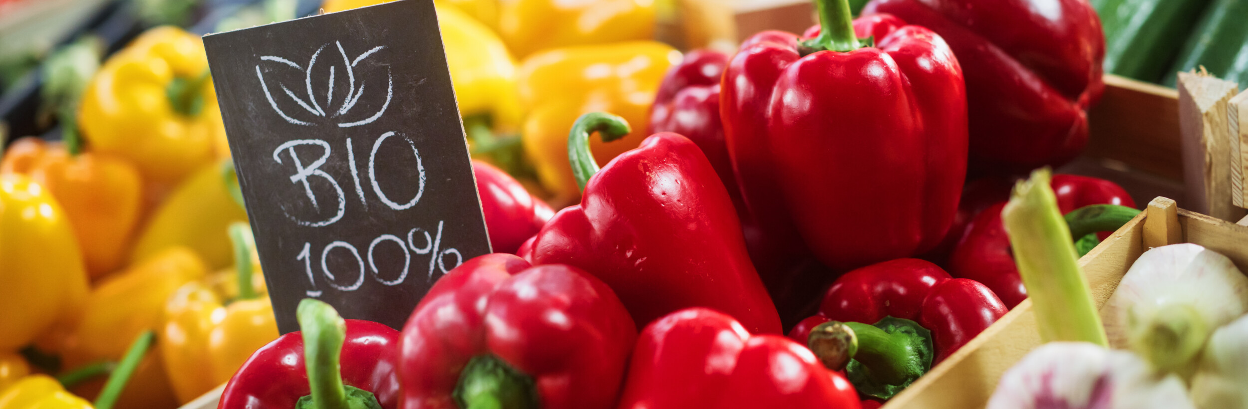 Getty Images 1934743242